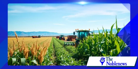 El auge de la biotecnología en la agricultura: soluciones a los desafíos alimentarios mundiales