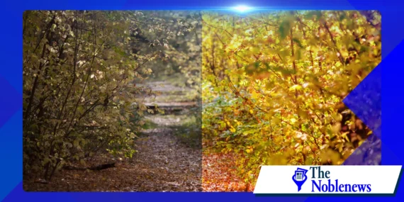 Why RAW Format Matters: Tips for Editing Like a Pro