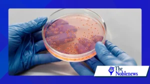 How Deep Learning Is Identifying New Antibiotics in Soil Bacteria