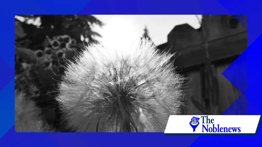 Perché la fotografia in bianco e nero è ancora importante