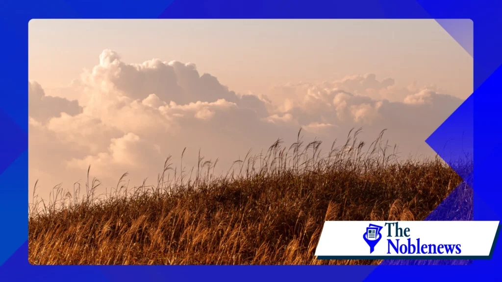 Tips for Shooting Stunning Landscape Photography