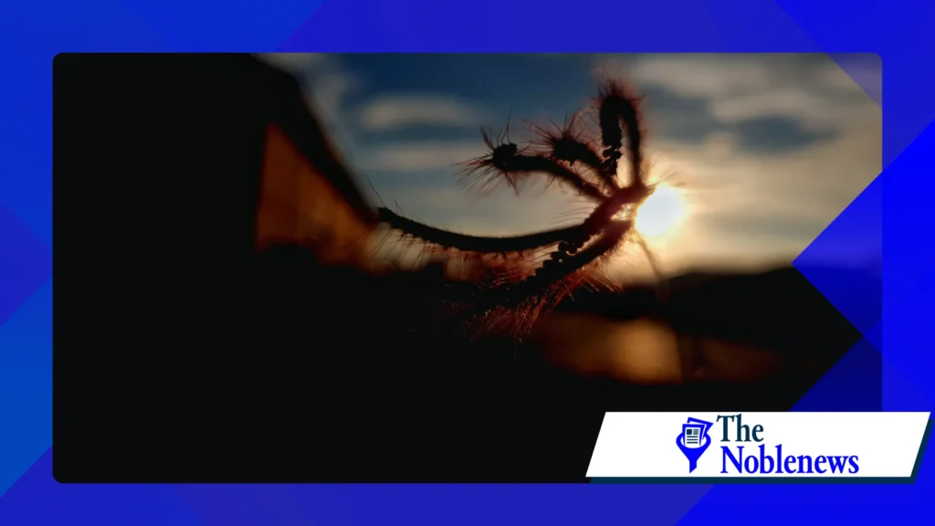 Top Cinematic Techniques