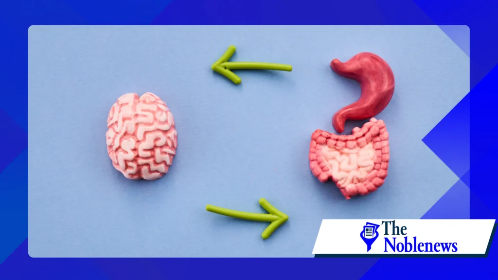 gut health optimization is trending in fitness routines