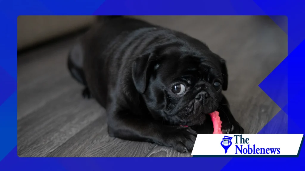 nostalgia meme trends 2026