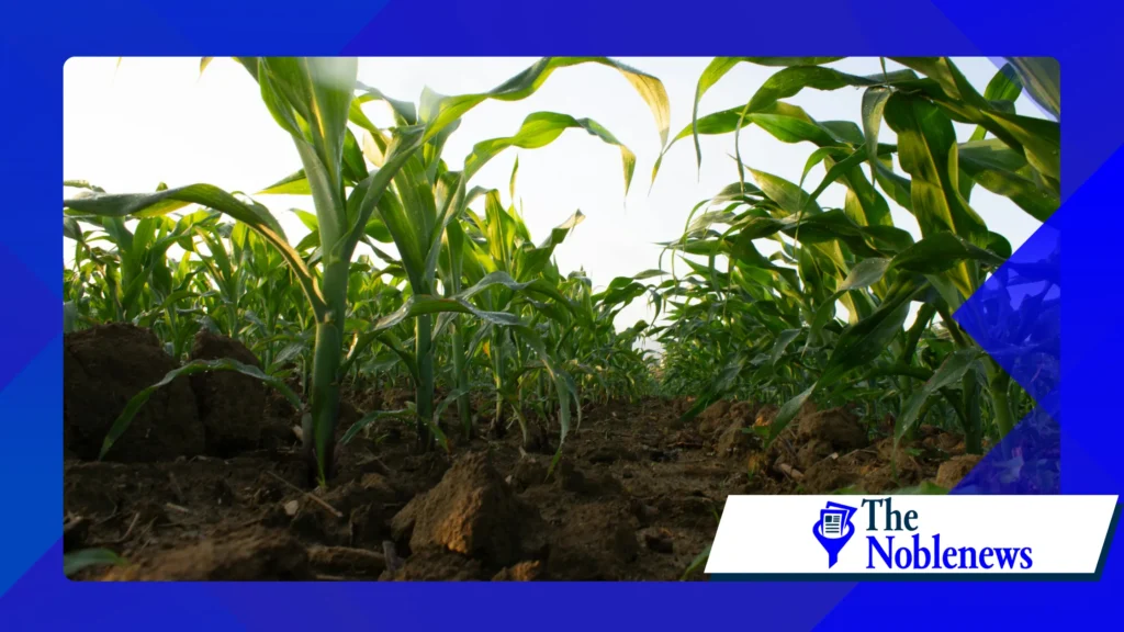 new science behind climate-resilient crops