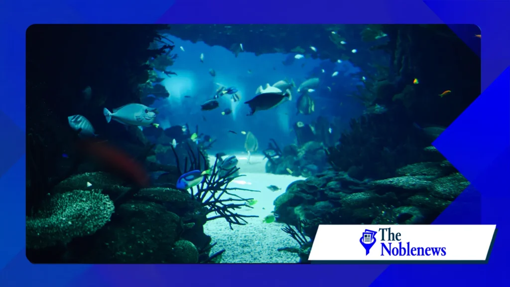 deep ocean carbon sinks