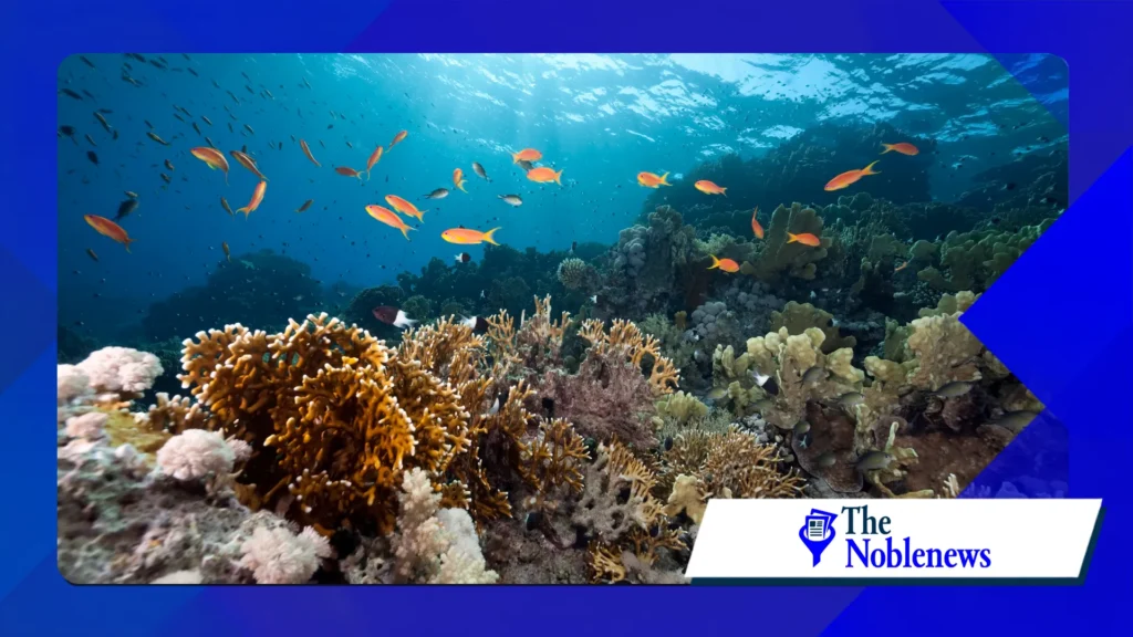 deep ocean carbon sinks