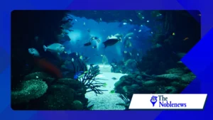 How deep ocean carbon sinks influence climate stability
