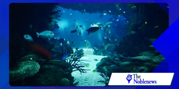 How deep ocean carbon sinks influence climate stability