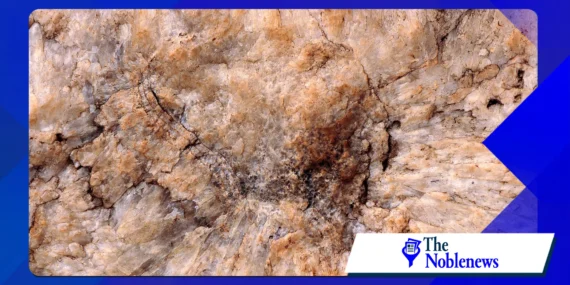 Why mantle plume research reshapes Earth formation theories