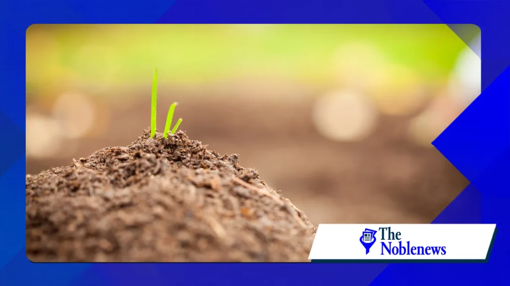 scientists are paying more attention to soil health
