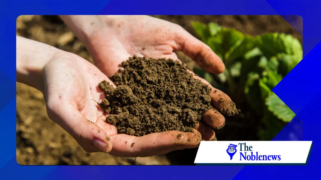 scientists are paying more attention to soil health