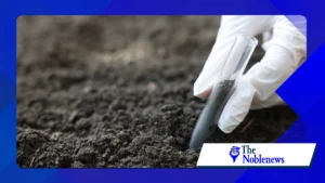 Why Scientists Are Paying More Attention to Soil Health