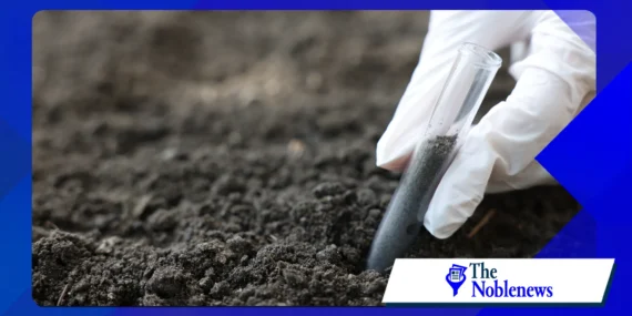Why Scientists Are Paying More Attention to Soil Health