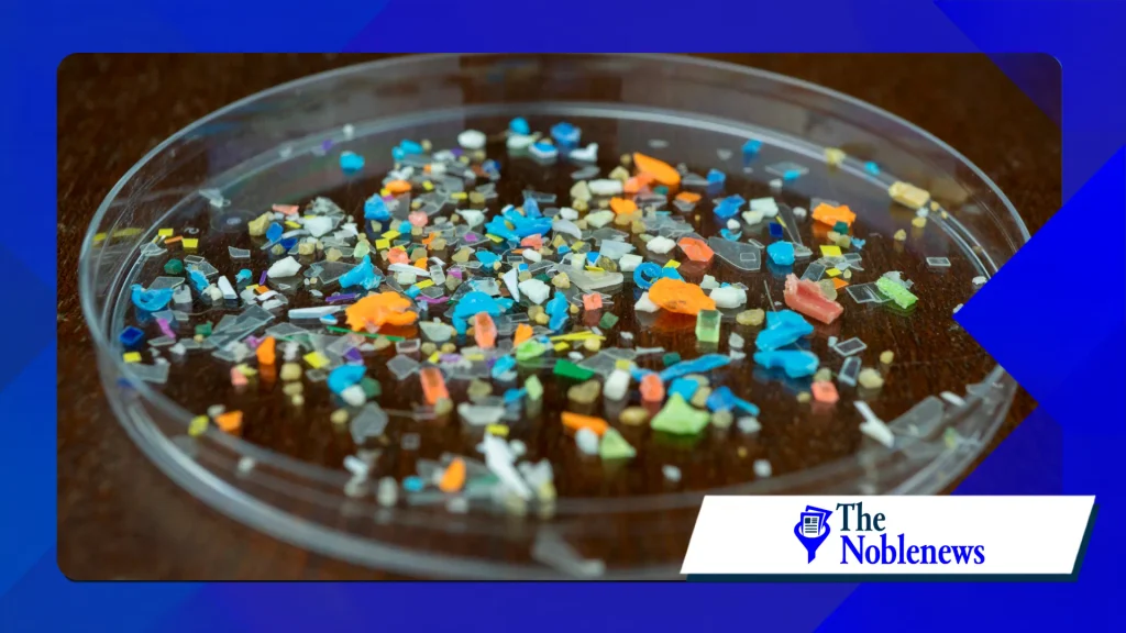 microplastic research