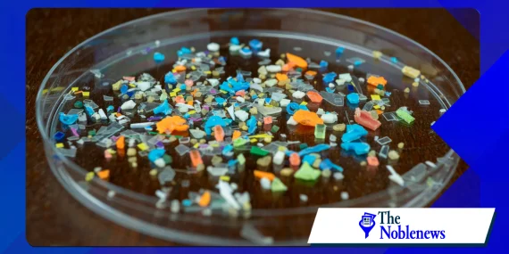 Why microplastic research is changing environmental science