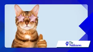 How algorithm-driven meme trends shape viral content