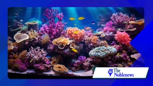 How coral reef restoration supports marine biodiversity