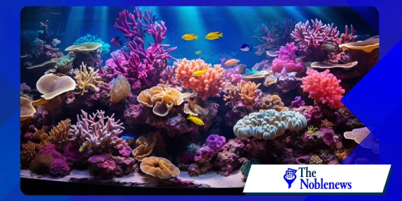 How coral reef restoration supports marine biodiversity